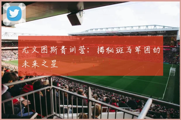尤文图斯青训营：揭秘斑马军团的未来之星